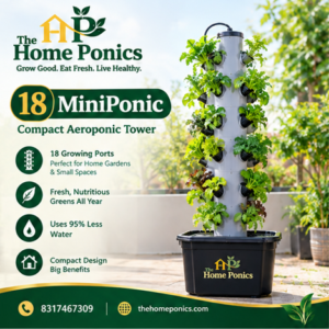 18  MicroPonic