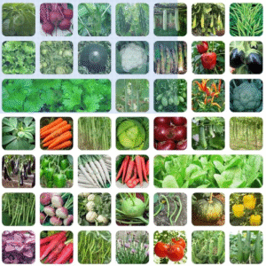 Combination Seed Pack