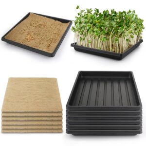 Microgreens Grow Kit