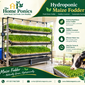 Hydroponic Maize Fodder Unit by The Home Ponics